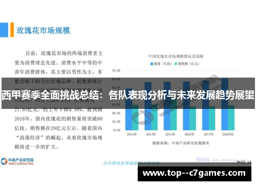 西甲赛季全面挑战总结：各队表现分析与未来发展趋势展望